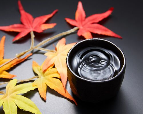 s-AdobeStock_222405806